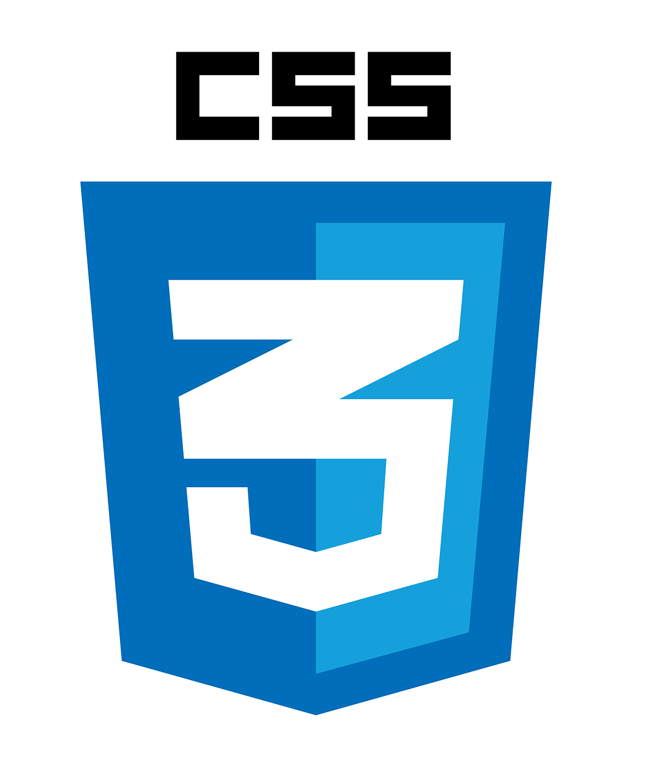 CSS Logo